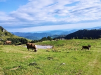 Malga Campo di Nasso