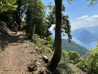 Il bel sentiero che conduce all'Alpe Bolla
