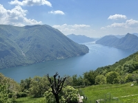 Salendo all'Alpe Bolla - Panorama sul Lago di Lugano