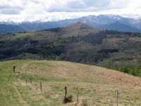 Il tratto finale di ripida salita sui pratoni del Monte del Falò -  Sullo sfondo la catena del Monte Rosa e l'arco alpino italo-svizzero nord occidentale