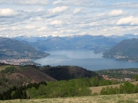 Panorama sul Lago Maggiore e sul Golfo Borromeo dalla sommità del Monte del Falò