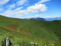 Lungo le pendici del Monte di Tremezzo, sullo sfondo l'omonima Alpe