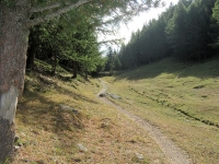 Il sentiero che parte dalla Tschorralp