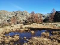 Nella Valle del Lys - Lago Vargno