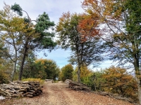 In direzione dell'Alpe Sacchi