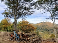 In direzione dell'Alpe Sacchi