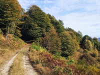 Dal Passo del Ranghetto all'Alpe Camasca