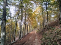 Dal Passo del Ranghetto all'Alpe Camasca