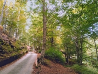 Verso l'Alpe Trevigno