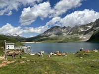 Lago Castel